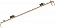 IEK CN19-13-331-10823 L-contour 150/1,9/Д/730/03/A1-B1/24DC IP66 DMX512 LEDEL