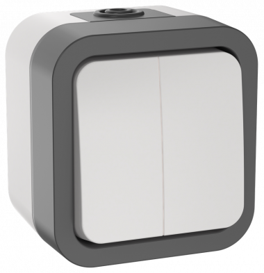 Фотография товара 'IEK TS-V20-0-10-55-K41 TORS Выключатель двухклавишный 10А IP55 TS205'