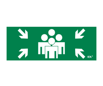 Фотография товара 'IEK Этикетка самоклеящаяся 240х90мм "Место сбора" LPC10-1-24-09-MSTS'