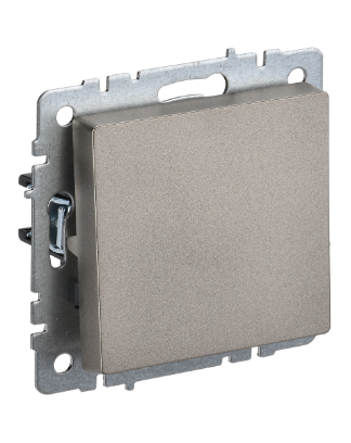 Фотография товара 'IEK BRITE Выключатель 1-клавишный 10А ВС10-1-0-БрШ шампань BR-V10-0-10-K37'