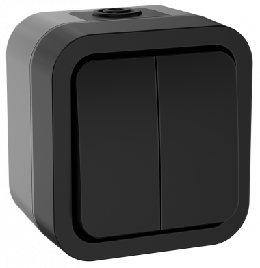 Фотография товара 'IEK TS-V20-0-10-55-K53 TORS Выключатель двухклавишный 10А IP55 TS105'