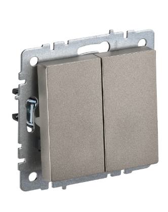 Фотография товара 'IEK BRITE Выключатель 2-клавишный проходной 10А ВС10-2-6-БрШ шампань BR-V22-0-10-K37'