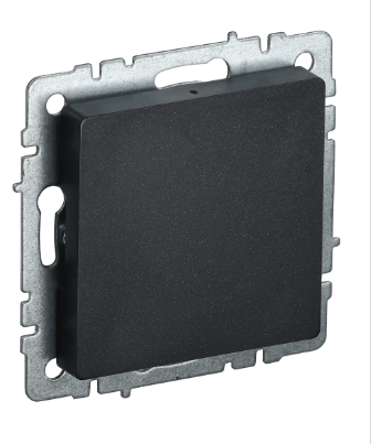 Фотография товара 'IEK BRITE Заглушка с суппортом МЗ10-БрЧ черный BR-PL10-K02'