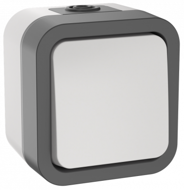 Фотография товара 'IEK TS-V16-0-10-55-K41 TORS Выключ. двухполюсный однокл. 10А IP55 TS211'