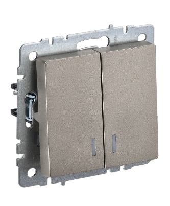 Фотография товара 'IEK BRITE Выключатель 2-клавишный с индикацией 10А ВС10-2-1-БрШ шампань BR-V20-1-10-K37'