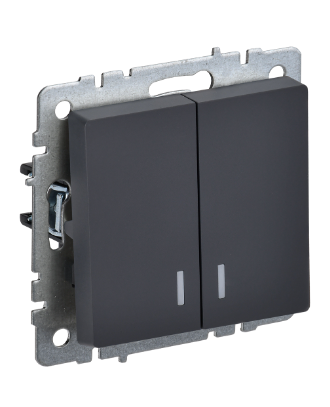 Фотография товара 'IEK BRITE Выключатель 2-клавишный с индикацией 10А ВС10-2-1-БрГ графит BR-V20-1-10-K53'