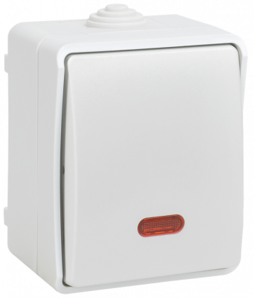 Фотография товара 'IEK EVS11-K01-10-54-DC FORS Выкл. 1-кл. прох. с инд. о/у IP54 ВС20-1-1-ФБ'