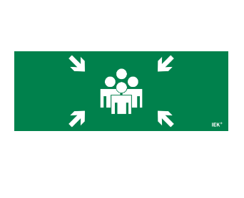 Фотография товара 'IEK Этикетка самоклеящаяся 350х130мм "Место сбора" LPC10-1-35-13-MSTS'