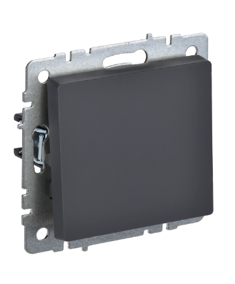 Фотография товара 'IEK BRITE Выключатель 1-клавишный 10А ВС10-1-0-БрГ графит BR-V10-0-10-K53'