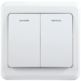 Фотография товара 'IEK ВС10-2-1-ВБ Выключатель 2кл 10А с индикатором ВЕГА EVV21-K01-10-DM'