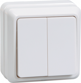 Фотография товара 'IEK ВС20-2-0-ОБ Выключатель 2 клавишный 10А ОКТАВА EVO20-K01-10-DC'