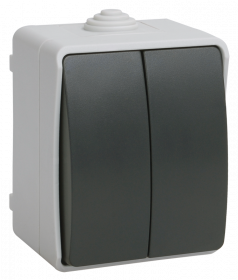 Фотография товара 'IEK ВС20-2-0-ФСр Выключатель двухклавишный для открытой установки ФОРС IP54 EVS20-K03-10-54-DC'