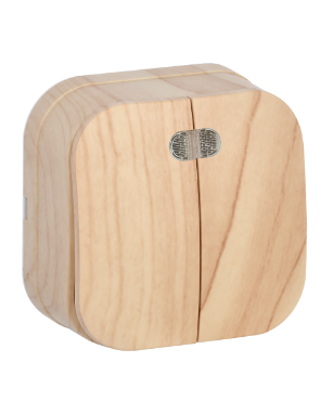 Фотография товара 'IEK Выключатель 2-клавишный для открытой установки с индикацией ВС20-2-1-ХС 10А GLORY сосна EVH21-K34-10'