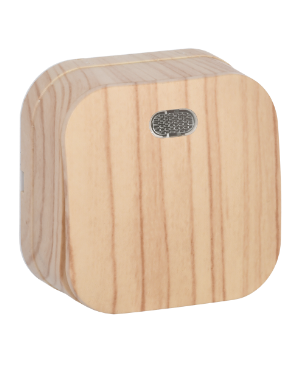 Фотография товара 'IEK Выключатель 1-клавишный для открытой установки с индикацией ВС20-1-1-ХС 10А GLORY сосна EVH11-K34-10'