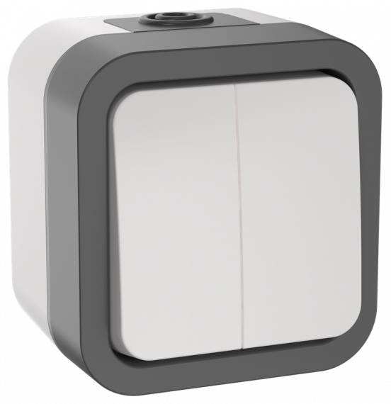 Фотография товара 'IEK TS-V20-0-10-55-K41 TORS Выключатель двухклавишный 10А IP55 TS205'