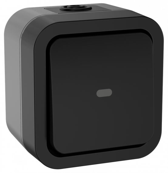 Фотография товара 'IEK TS-V10-1-10-55-K53 TORS Переключатель однокл. с ин. 10А IP55 TS102'