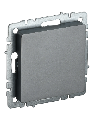 Фотография товара 'IEK BRITE Заглушка с суппортом МЗ10-БрС сталь BR-PL10-K46'