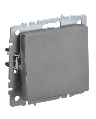 Фотография товара 'IEK BRITE Выключатель 1-клавишный 10А ВС10-1-0-БрС сталь BR-V10-0-10-K46'