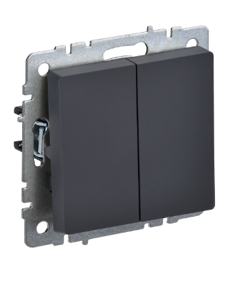 Фотография товара 'IEK BRITE Выключатель 2-клавишный 10А ВС10-2-0-БрГ графит BR-V20-0-10-K53'