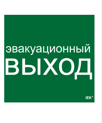 Фотография товара 'IEK Этикетка самоклеящаяся 310х280мм "Эвакуационный выход" LPC10-1-31-28-EVV'