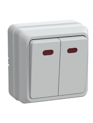 Фотография товара 'IEK Выключатель 2-клавишный для открытой установки с индикацией ВС20-2-1-ОБ 10А ОКТАВА белый EVO21-K01-10-DC'