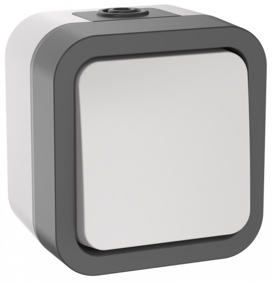 Фотография товара 'IEK TS-V10-0-10-55-K41 TORS Переключатель однокл. 10А IP55 TS201'