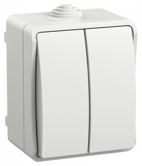 Фотография товара 'IEK EVS20-K01-10-54-DC FORS Выкл. 2-кл. о/у IP54 ВС20-2-0-ФБ'