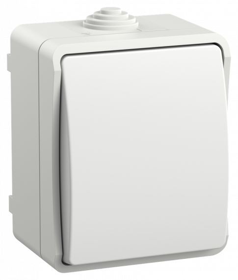 Фотография товара 'IEK EVS13-K01-10-54-DC FORS Выкл. кноп. о/у IP54 ВСк20-1-0-ФБ'