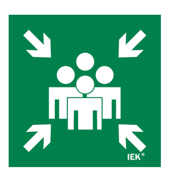 Фотография товара 'IEK Этикетка самоклеящаяся 150х150мм "Место сбора" LPC10-1-15-15-MSTS'