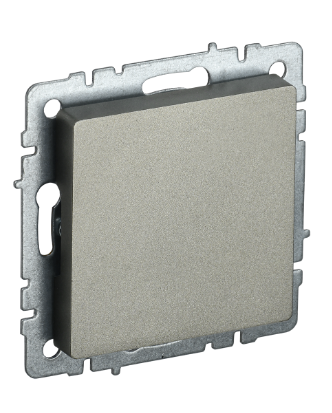 Фотография товара 'IEK BRITE Заглушка с суппортом МЗ10-БрШ шампань BR-PL10-K37'