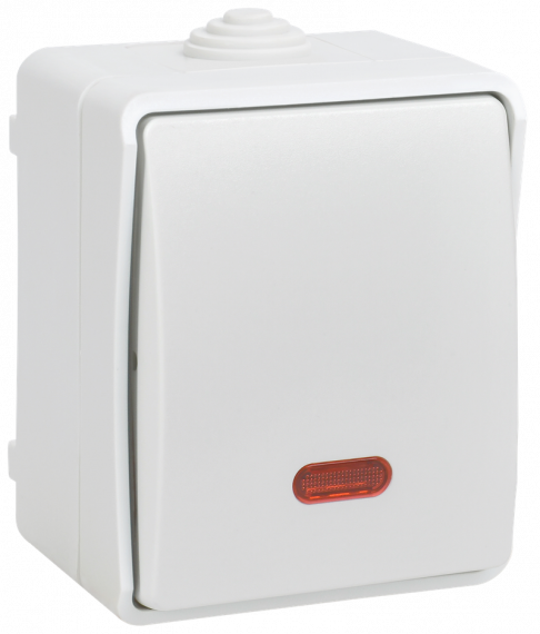 Фотография товара 'IEK EVS11-K01-10-54-DC FORS Выкл. 1-кл. прох. с инд. о/у IP54 ВС20-1-1-ФБ'