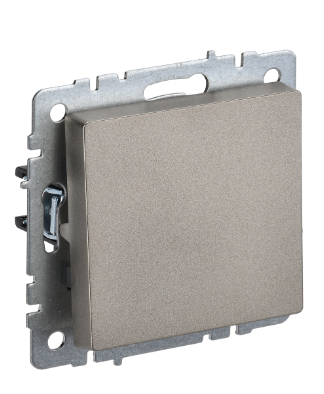 Фотография товара 'IEK BRITE Выключатель 1-клавишный самовозвратный 10А ВС10-1-4-БрШ шампань BR-V14-0-10-K37'