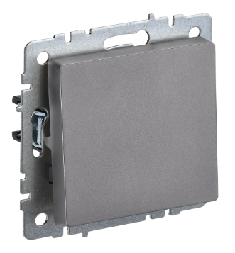 Фотография товара 'IEK BRITE Выключатель 1-клавишный самовозвратный 10А ВС10-1-4-БрС сталь BR-V14-0-10-K46'