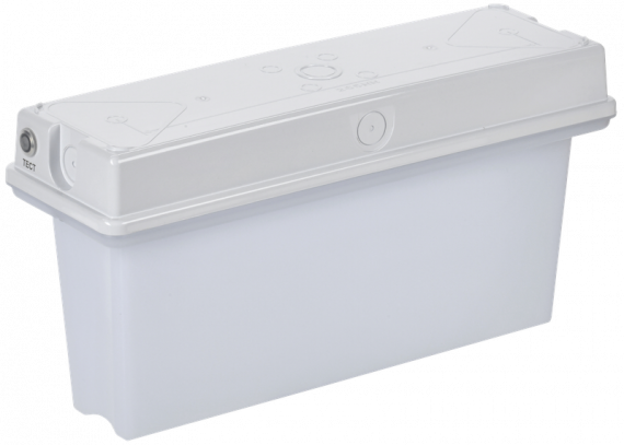 Фотография товара 'IEK LSSA0-1010-1-65-K01 Светильник авар. ССА1010 1ч универс. IP65'