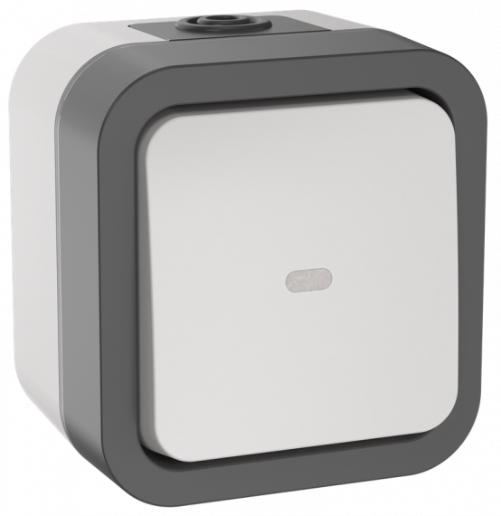 Фотография товара 'IEK TS-V10-1-10-55-K41 TORS Переключатель однокл. с ин. 10А IP55 TS202'