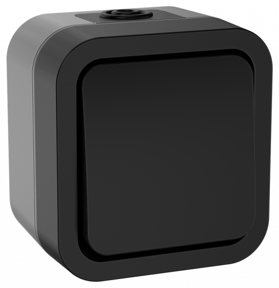 Фотография товара 'IEK TS-V10-0-10-55-K53 TORS Переключатель однокл. 10А IP55 TS101'