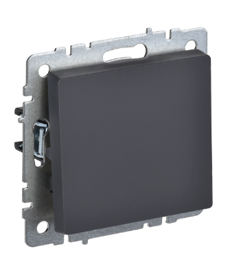 Фотография товара 'IEK BRITE Выключатель 1-клавишный самовозвратный 10А ВС10-1-4-БрГ графит BR-V14-0-10-K53'