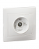 Фотография товара 'IEK KVARTA Розетка 1-местная телевизионная проходная РТВ11-КБ белый KV-A10-P-K01'