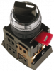 IEK Переключатель АС-22 BSW10-AC-2-K02
