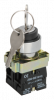 IEK Переключатель LAY5-BG45 на 2 положения с ключом без фиксации BSW80-BG-2-K02